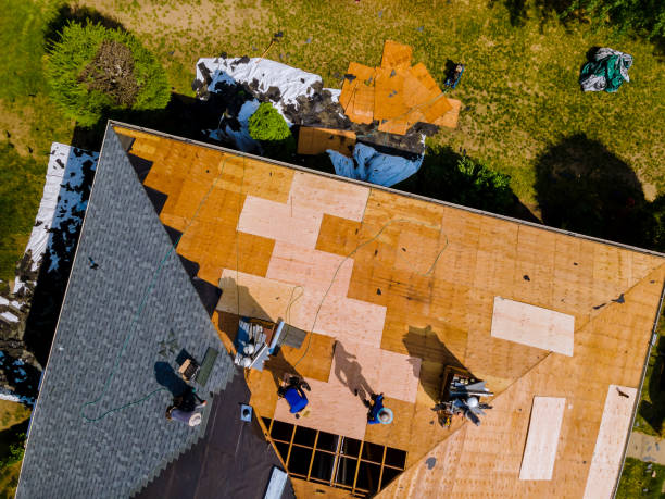 Best Roof Maintenance Services  in Neillsville, WI